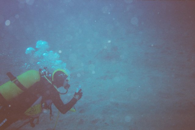bajoelaguatenerife33.jpg