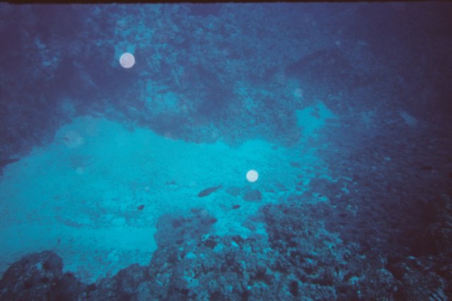 bajoelaguatenerife5.jpg
