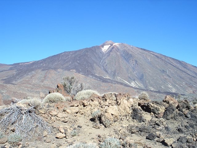 elteide.jpg