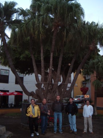 fotosluciano2004tenerife71.jpg