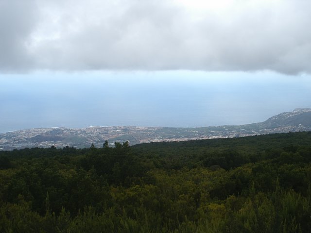 laorotava.jpg